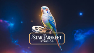 Star Parakeet Studios